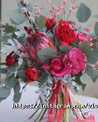 відгуки про Viva фото