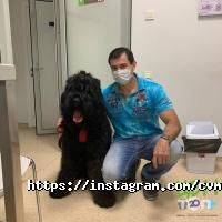 Ветеринарные клиники Центр Ветеринарной Медицины фото