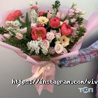 Магазини квітів Viva фото