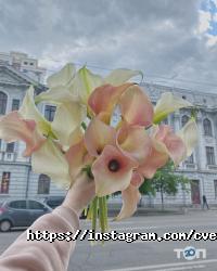 Cvetaeva Cafe Київ фото
