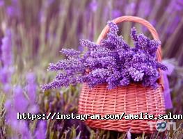 відгуки про Амелі фото