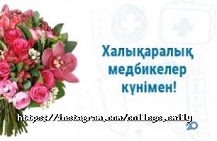 Колледжи, училища, техникумы Эмили фото