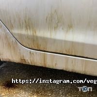 Vegas відгуки фото