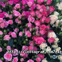 відгуки про Elena flowers фото