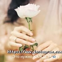 Fresh, мережа фітнес-клубів фото