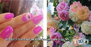 Апельсин Харків фото