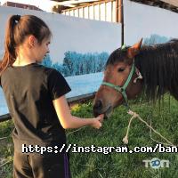 Столичный двор отзывы фото