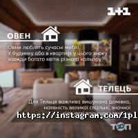 Студія 1+1 фото