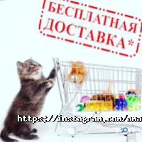 Зоомагазины и услуги для животных Amazoonka фото