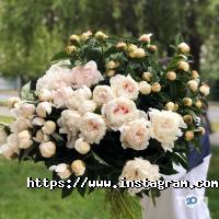 Оформлення залу, доставка квітів Solo Flowers фото