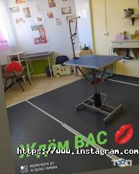 Зоомагазини і послуги для тварин Star Grooming фото