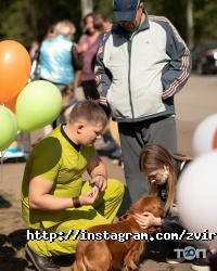 відгуки про Звірятко фото