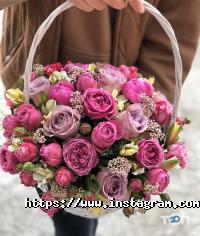 відгуки про Solo Flowers фото