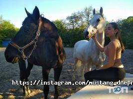 Мустанг відгуки фото