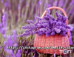 Амелі, салон краси фото