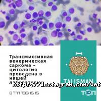 отзывы о Талисман фото