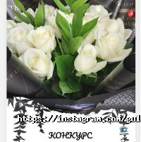 отзывы о GULDER 313 фото