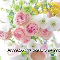 Свадебные салоны Гламур фото