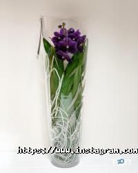 Оптроз Одеса фото