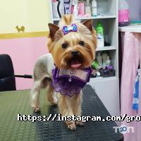 відгуки про Mimi pets фото