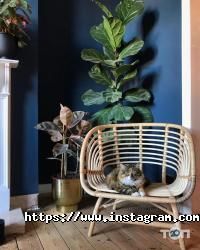 Manders Одеса фото