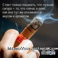 Вейп шопи та магазини тютюну Табакерка фото