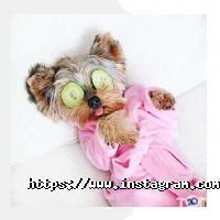 відгуки про Kormel Esthetique фото