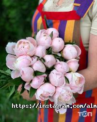Almaflowers.kz отзывы фото