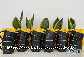 Веб-дизайн і створення сайтів Otakoyi фото