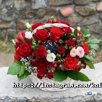 Колібрі Дніпро фото