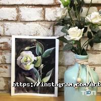 Studio61 відгуки фото