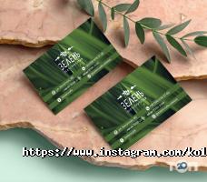 Колибри отзывы фото