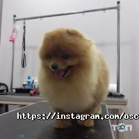 Oscar Grooming отзывы фото
