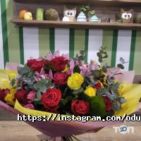 отзывы о Одуван фото