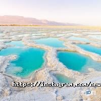 New tour відгуки фото