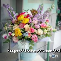 відгуки про Salvia фото