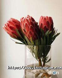 Магазини квітів Квітковий дім фото