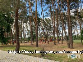 отзывы о Сосновый Бор фото