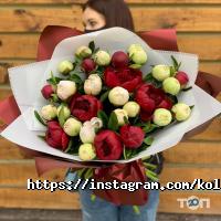 відгуки про Колібрі фото