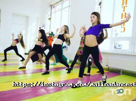 Малина Дніпро фото