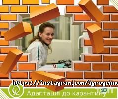 Ветеринарні клініки Агроген Ново фото