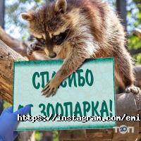 відгуки про Студія танців Емілії Скіф фото