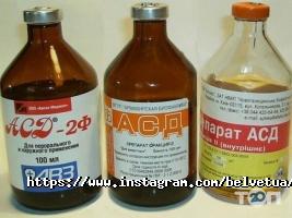 Белвет Чернігів фото