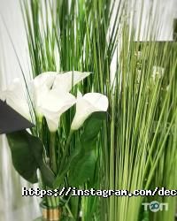 Меблеві магазини Decor avenue фото