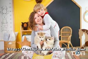 Alex-Studio HOME Алматы фото