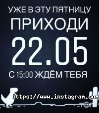 Кальянные Синий Енот фото