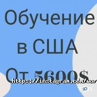 World Study отзывы фото