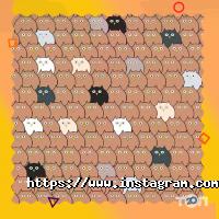 Школа скорочтения Одесса фото