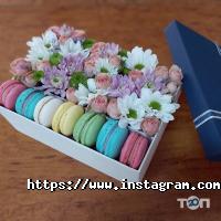 Тандем Тернопіль фото