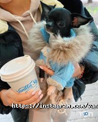 Vanilla sky coffee Харків фото